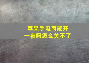 苹果手电筒能开一夜吗怎么关不了