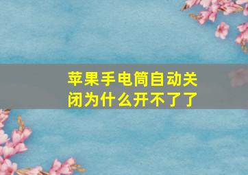 苹果手电筒自动关闭为什么开不了了