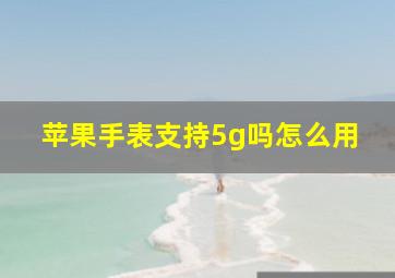 苹果手表支持5g吗怎么用