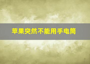 苹果突然不能用手电筒