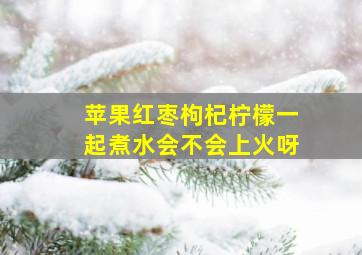 苹果红枣枸杞柠檬一起煮水会不会上火呀