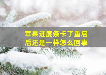 苹果进度条卡了重启后还是一样怎么回事