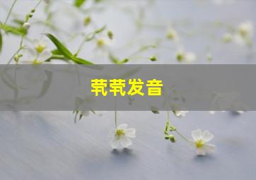 茕茕发音