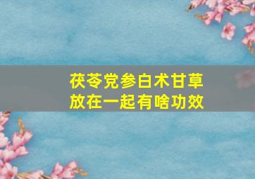 茯苓党参白术甘草放在一起有啥功效