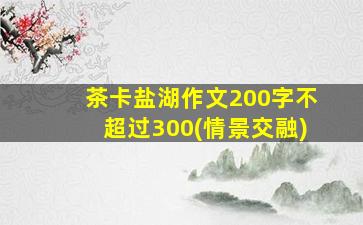 茶卡盐湖作文200字不超过300(情景交融)