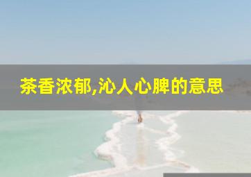 茶香浓郁,沁人心脾的意思