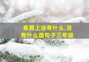 草原上没有什么,没有什么造句子三年级