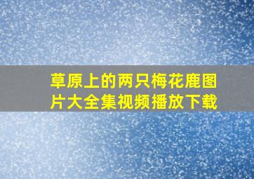 草原上的两只梅花鹿图片大全集视频播放下载