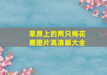 草原上的两只梅花鹿图片高清版大全