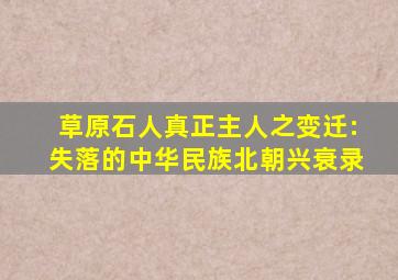 草原石人真正主人之变迁:失落的中华民族北朝兴衰录