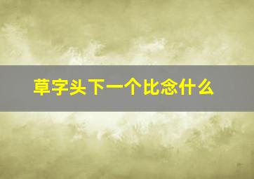 草字头下一个比念什么