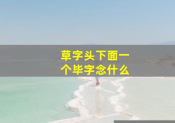 草字头下面一个毕字念什么