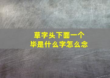 草字头下面一个毕是什么字怎么念