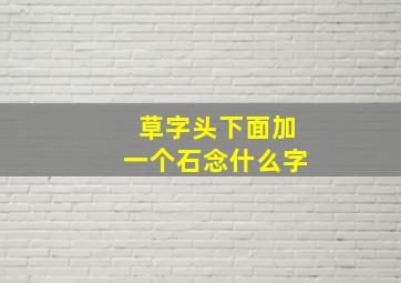 草字头下面加一个石念什么字