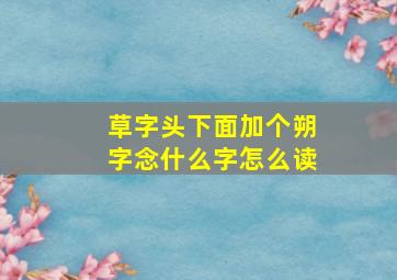 草字头下面加个朔字念什么字怎么读