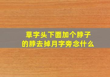 草字头下面加个脖子的脖去掉月字旁念什么