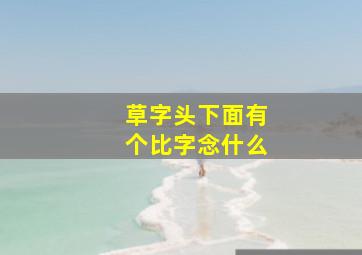 草字头下面有个比字念什么