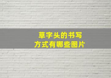 草字头的书写方式有哪些图片