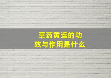 草药黄连的功效与作用是什么