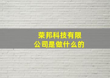 荣邦科技有限公司是做什么的