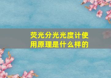 荧光分光光度计使用原理是什么样的