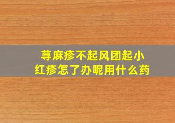 荨麻疹不起风团起小红疹怎了办呢用什么药