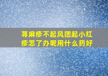 荨麻疹不起风团起小红疹怎了办呢用什么药好