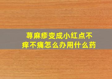 荨麻疹变成小红点不痒不痛怎么办用什么药