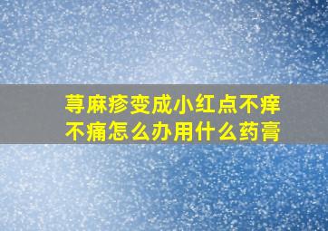 荨麻疹变成小红点不痒不痛怎么办用什么药膏