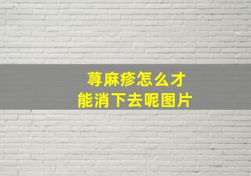 荨麻疹怎么才能消下去呢图片