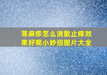 荨麻疹怎么消散止痒效果好呢小妙招图片大全