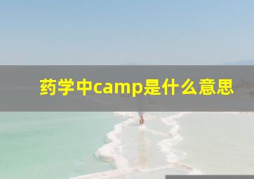 药学中camp是什么意思