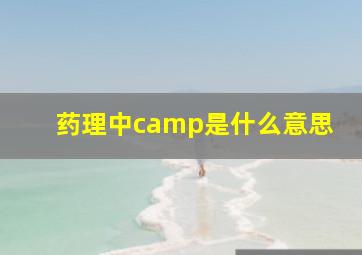 药理中camp是什么意思