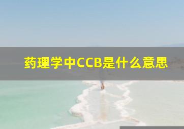 药理学中CCB是什么意思