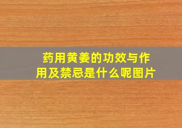 药用黄姜的功效与作用及禁忌是什么呢图片