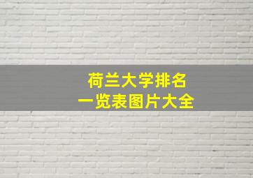 荷兰大学排名一览表图片大全