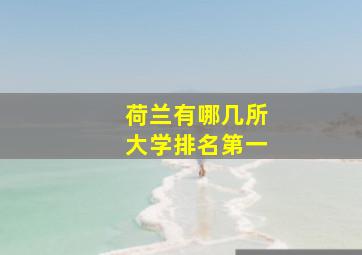 荷兰有哪几所大学排名第一