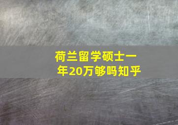 荷兰留学硕士一年20万够吗知乎