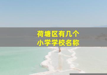 荷塘区有几个小学学校名称