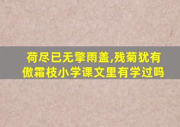 荷尽已无擎雨盖,残菊犹有傲霜枝小学课文里有学过吗