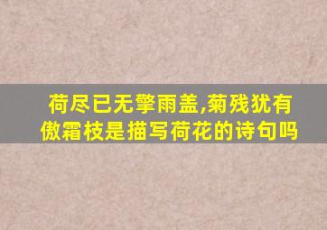 荷尽已无擎雨盖,菊残犹有傲霜枝是描写荷花的诗句吗