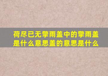 荷尽已无擎雨盖中的擎雨盖是什么意思盖的意思是什么