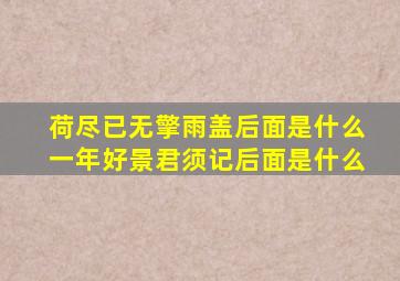 荷尽已无擎雨盖后面是什么一年好景君须记后面是什么