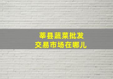 莘县蔬菜批发交易市场在哪儿