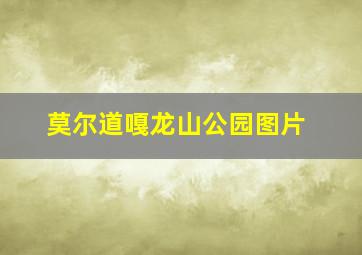 莫尔道嘎龙山公园图片