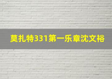 莫扎特331第一乐章沈文裕