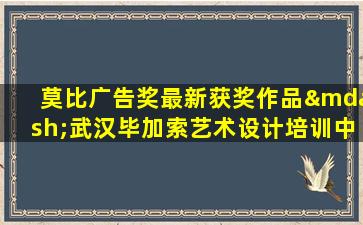 莫比广告奖最新获奖作品—武汉毕加索艺术设计培训中心