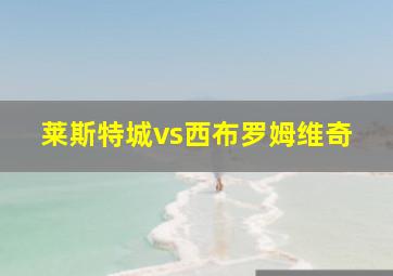 莱斯特城vs西布罗姆维奇