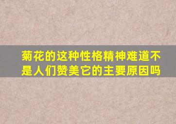 菊花的这种性格精神难道不是人们赞美它的主要原因吗