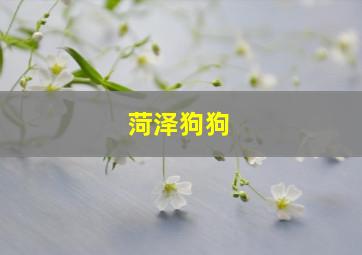 菏泽狗狗